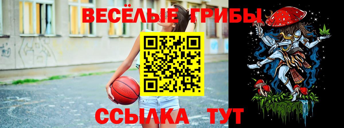 Галлюциногенные грибы Magic Shrooms  Вход с VPN  Галлюциногенные грибы прущие грибы  Волгодонск 